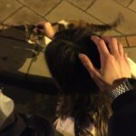 教女人“玩弄”阴茎的技巧