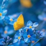 宫颈糜烂会传染吗