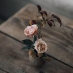 8个方法留住性爱新鲜感