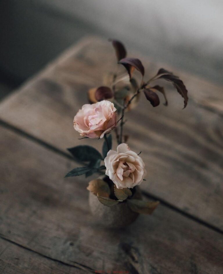 8个方法留住性爱新鲜感