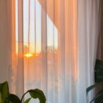 房事之后，你应该做些什么呢