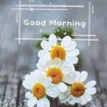 做爱秘籍：深度与速度两手抓