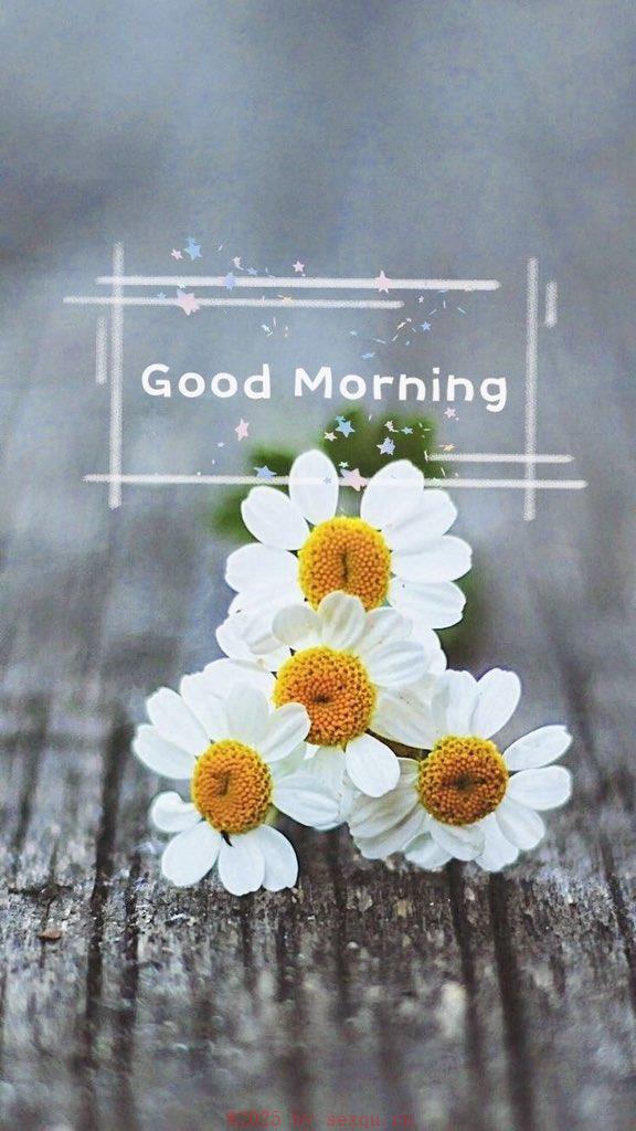 做爱秘籍：深度与速度两手抓