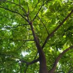 性爱技巧让你的那个她更享受