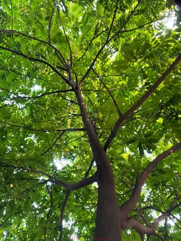 性爱技巧让你的那个她更享受