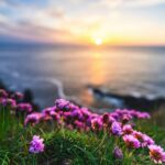 女人不会拒绝口交带来的快感