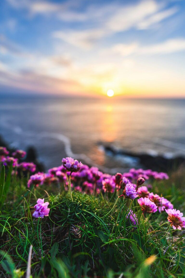 女人不会拒绝口交带来的快感