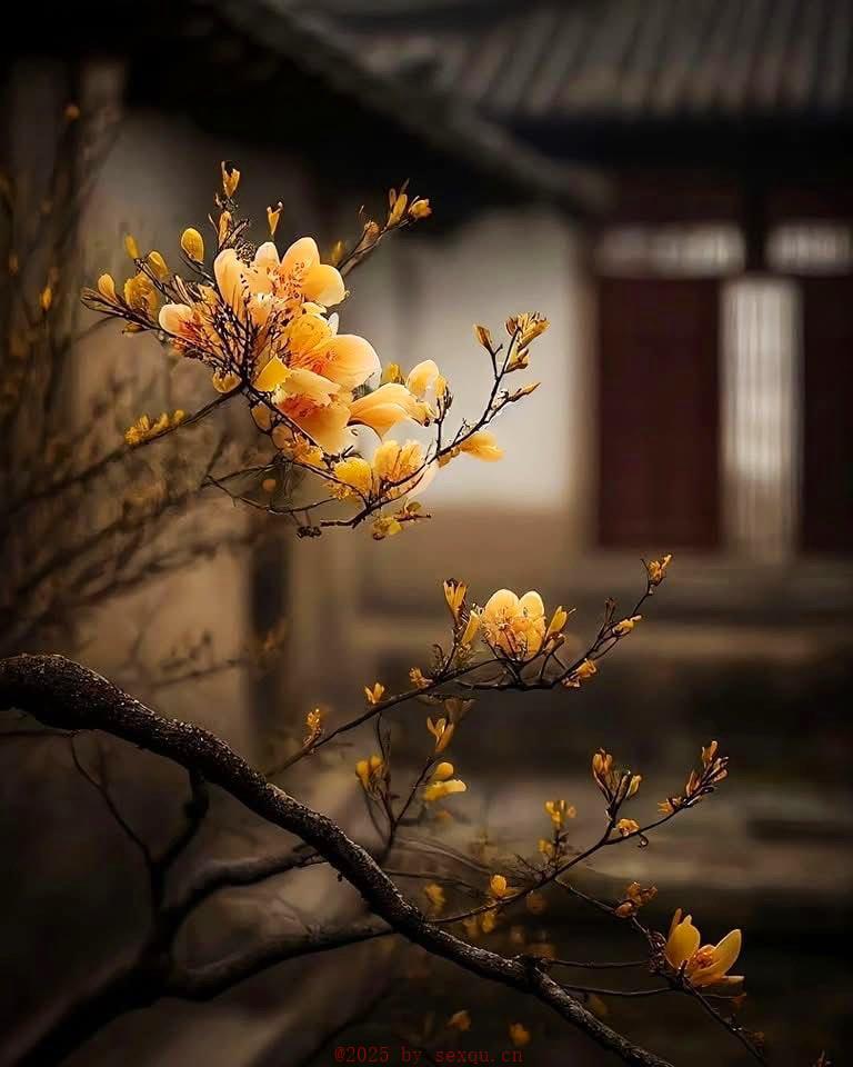 征服少女最适合用怎样的性爱姿势