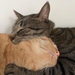 自制助性法：冰冻内裤+热敷毛巾