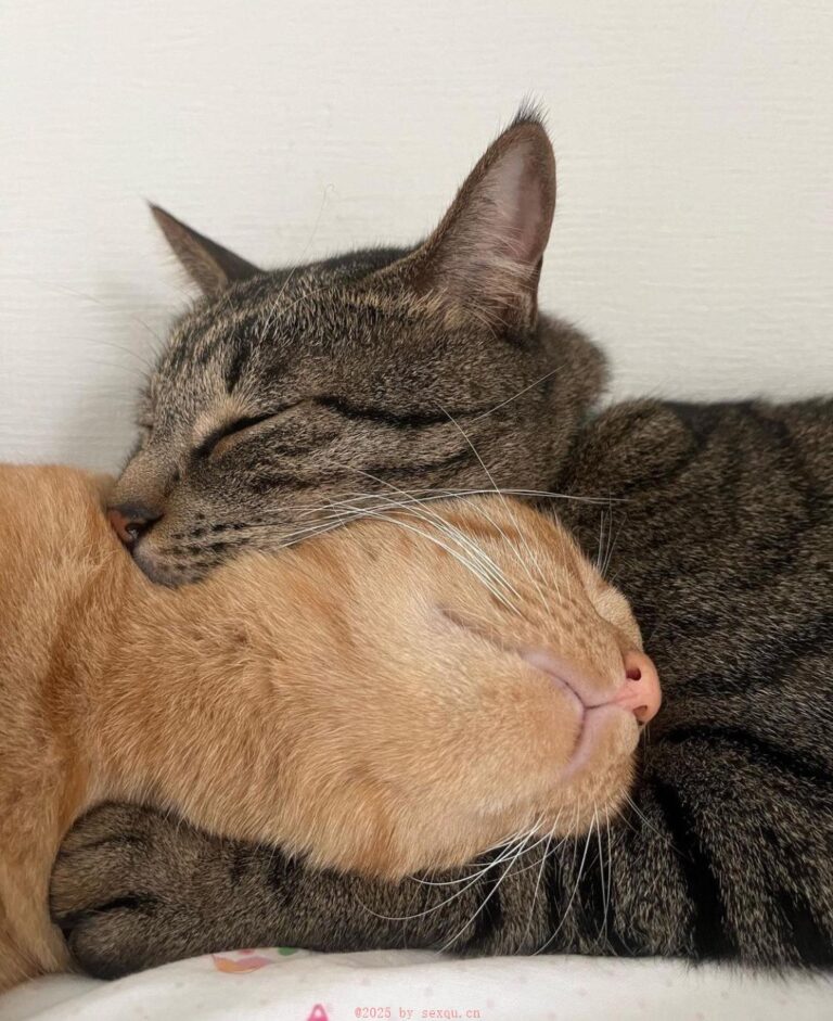 自制助性法：冰冻内裤+热敷毛巾