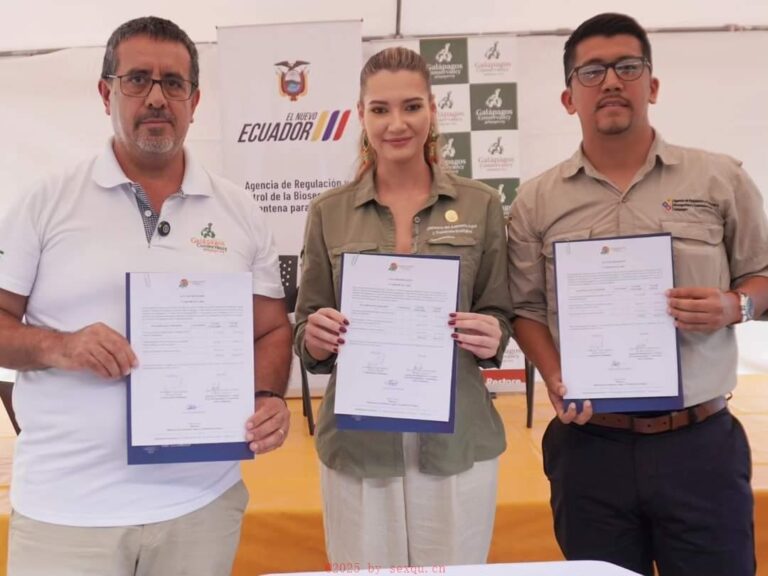 探究：早孕试纸怎么样是怀孕