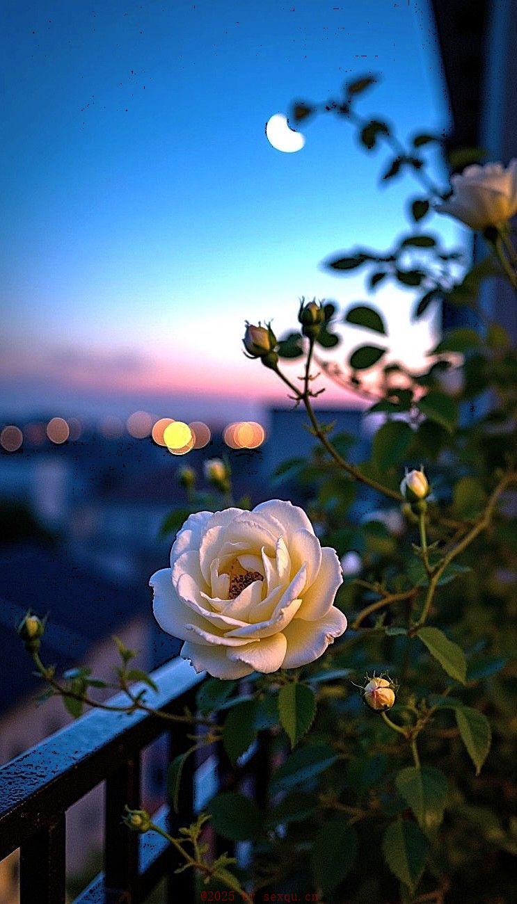 顺产后阴道松弛该怎么办？