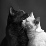 别怂恿他做一夜七次郎