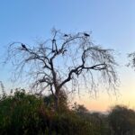 早孕试纸假阳性是怎么回事