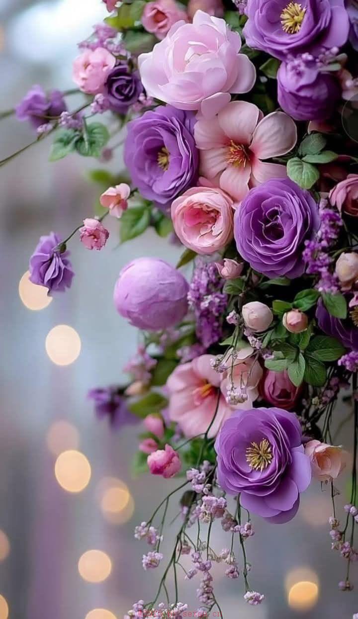 哪些情趣小玩具最适合夫妻?