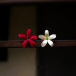 超爽超刺激的手淫技巧 让你“爽”翻天