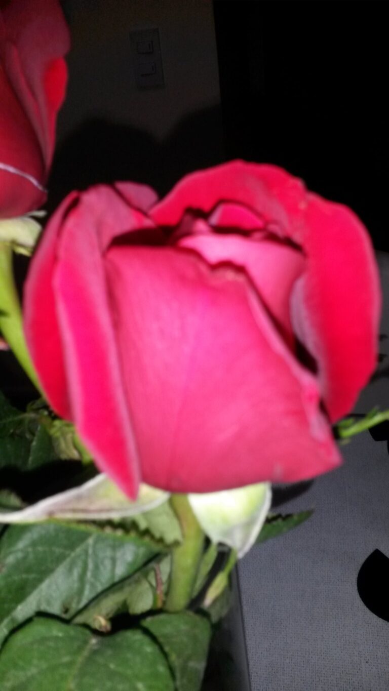 你知道为什么女人要拒绝跟你过性生活吗