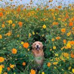 女人阴道松弛怎么办