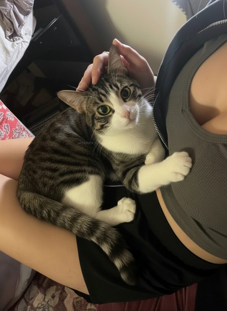 女人在床上呻吟的技巧